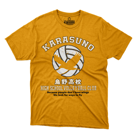 KARASUNO HS VC