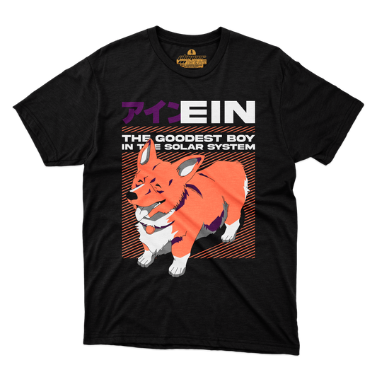 EIN
