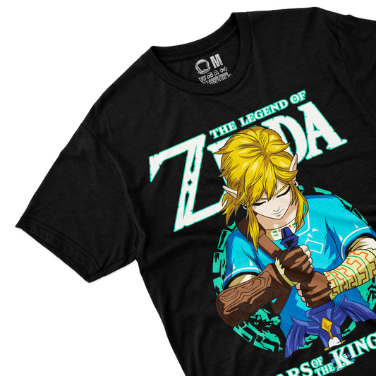 HÉROE DE HYRULE