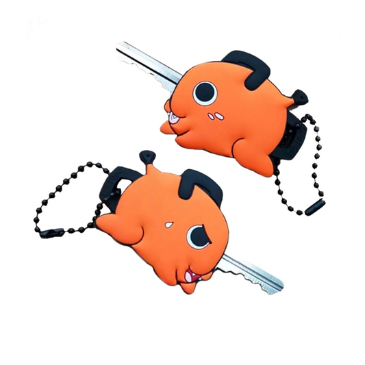PROTECTOR LLAVE POCHITA