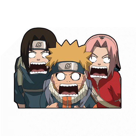 STICKER TEAM NINJA
