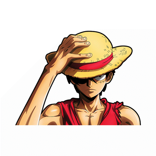 STICKER SOMBRERO PAJA