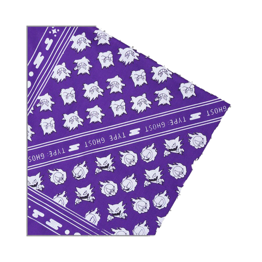 PALIACATE GENGAR EVOLUTIONS