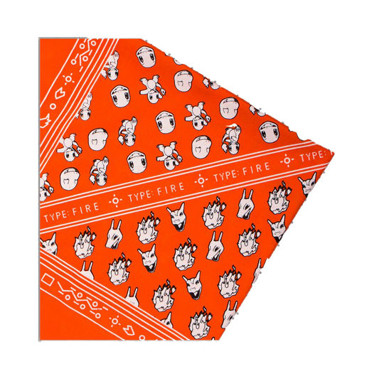 PALIACATE CHARMANDER/CHARIZARD