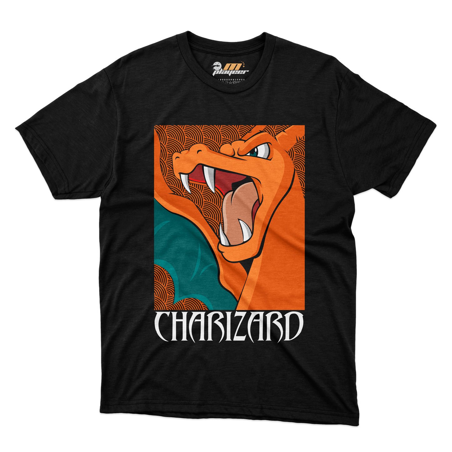 CHARIZARD POSTER