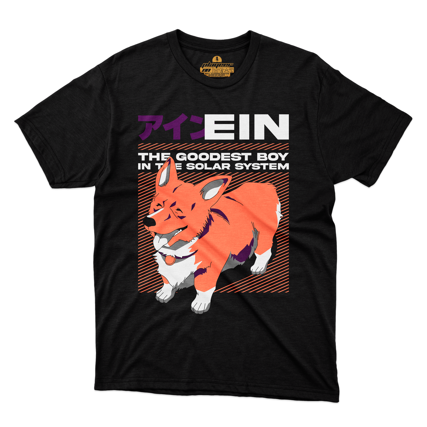 EIN